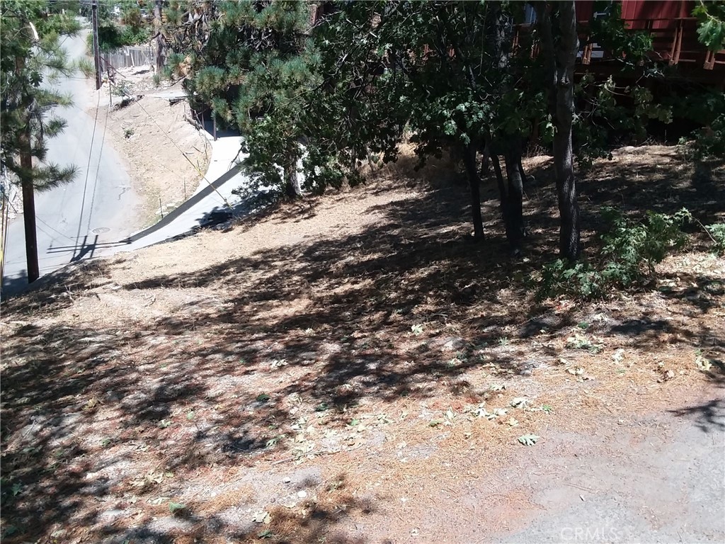 32960 Lone Pine Drive Property Photo 3