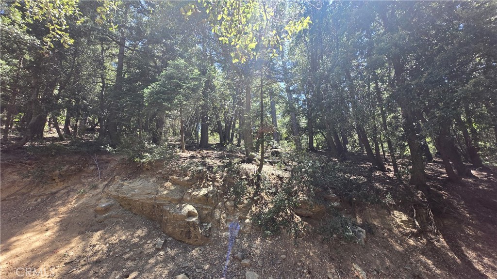 0 Mojave River Road Property Photo 1