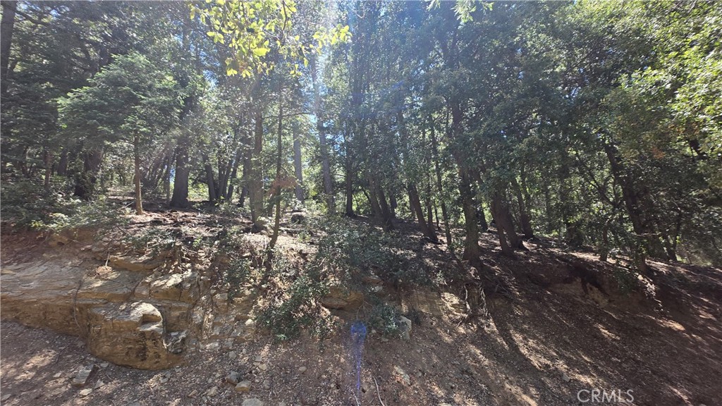 0 Mojave River Road Property Photo 2