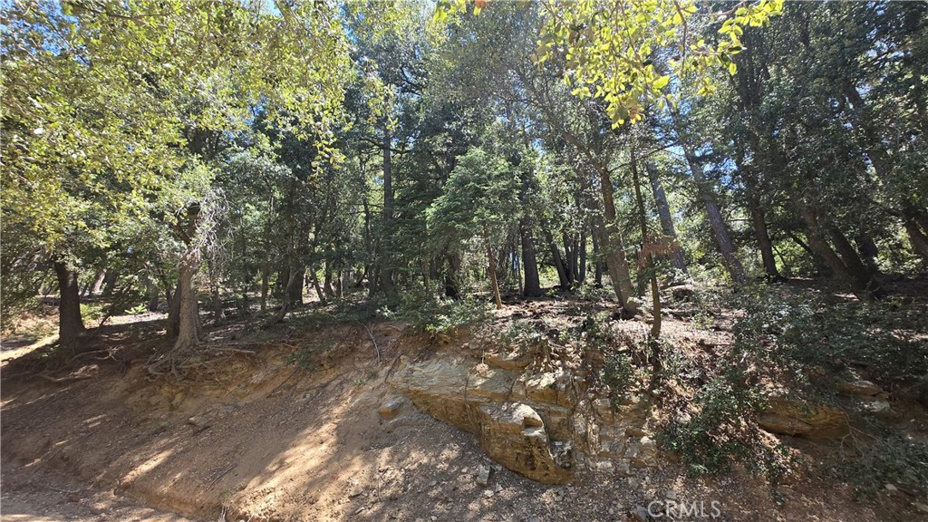 0 Mojave River Road Property Photo 3
