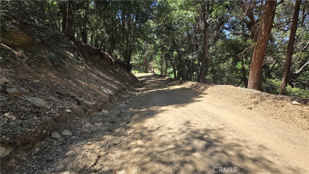 0 Mojave River Road Property Photo 4