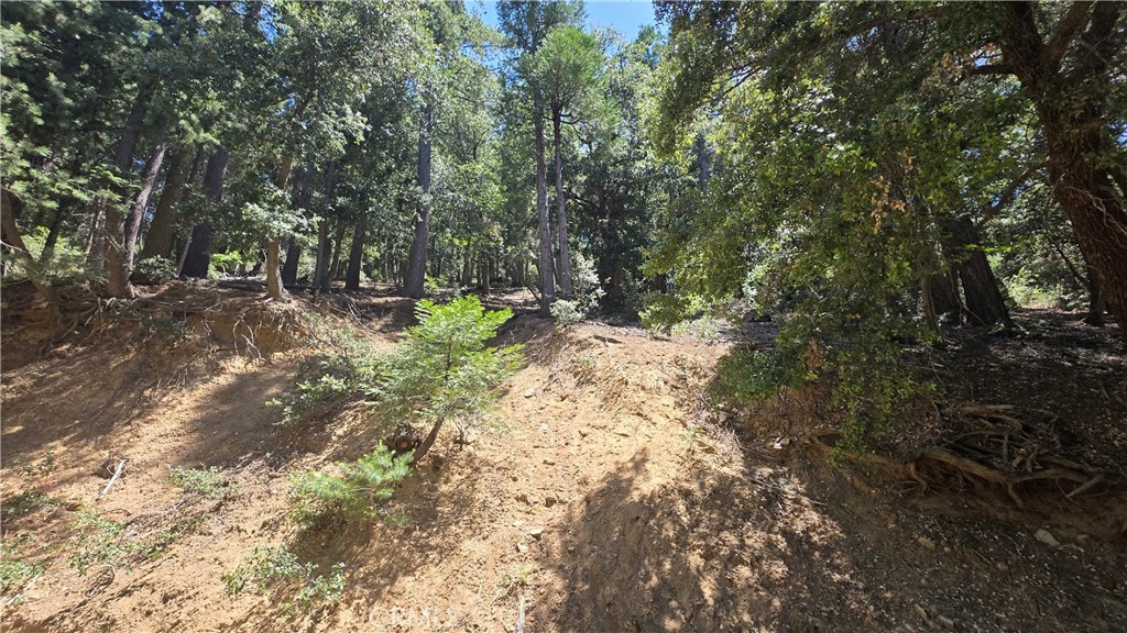 0 Mojave River Road Property Photo 5