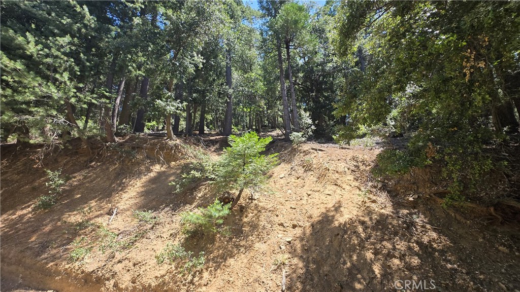 0 Mojave River Road Property Photo 6