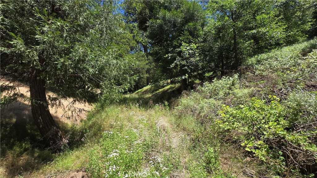 0 Mojave River Road Property Photo 1