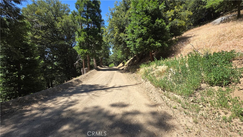 0 Mojave River Road Property Photo 3
