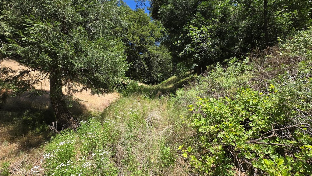 0 Hope Lane Property Photo 1