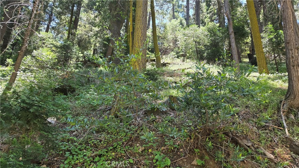 0 Waters Drive Property Photo 1