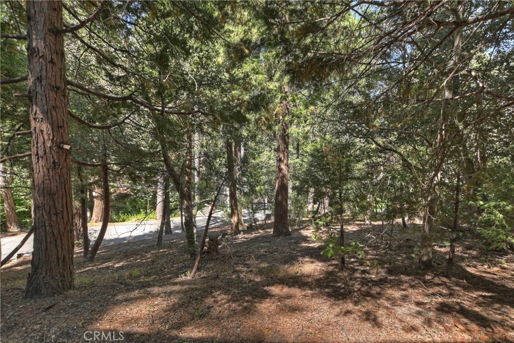 24891 Felsen Drive Property Photo 34