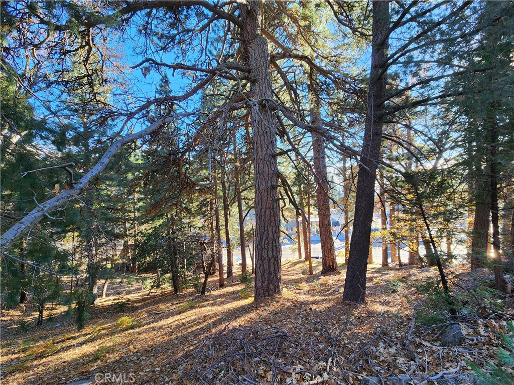 0 Lovers Lane Property Photo 1