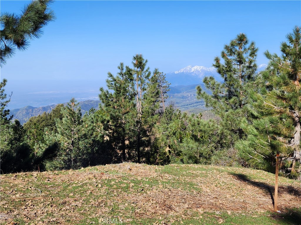30110 Skyline Property Photo