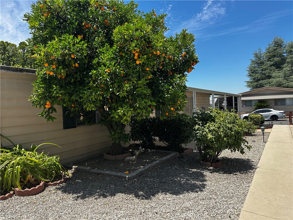 3850 Atlantic Avenue 151 Property Photo 7