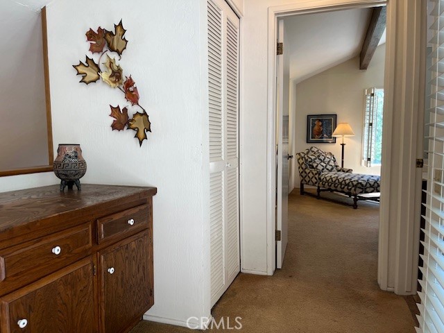 27821 Peninsula Drive #332 Property Photo 22