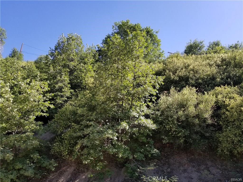 0 Elder Drive Property Photo 2