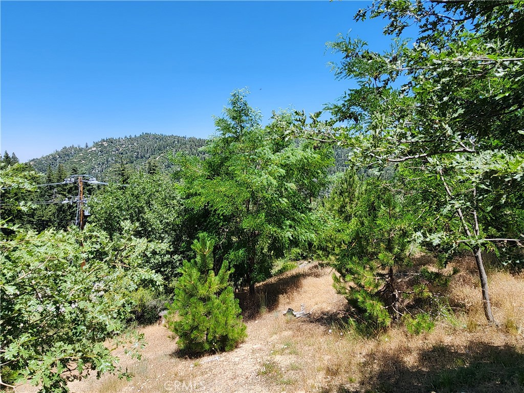 31912 Encina Way Property Photo 1