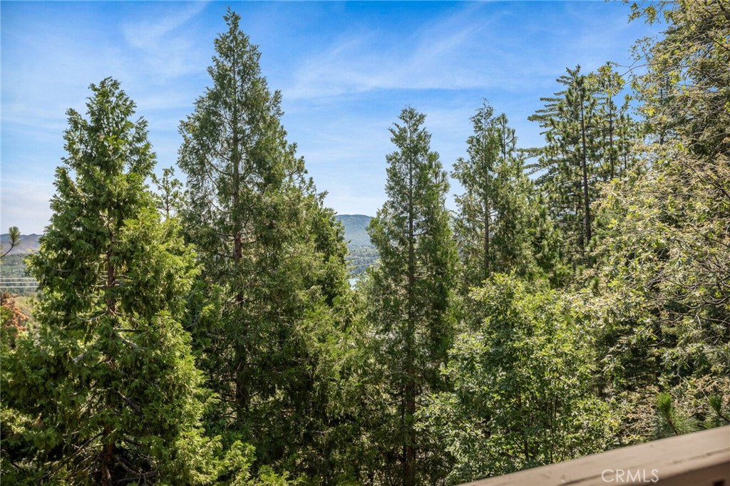 332 Grizzly Road Property Photo 18