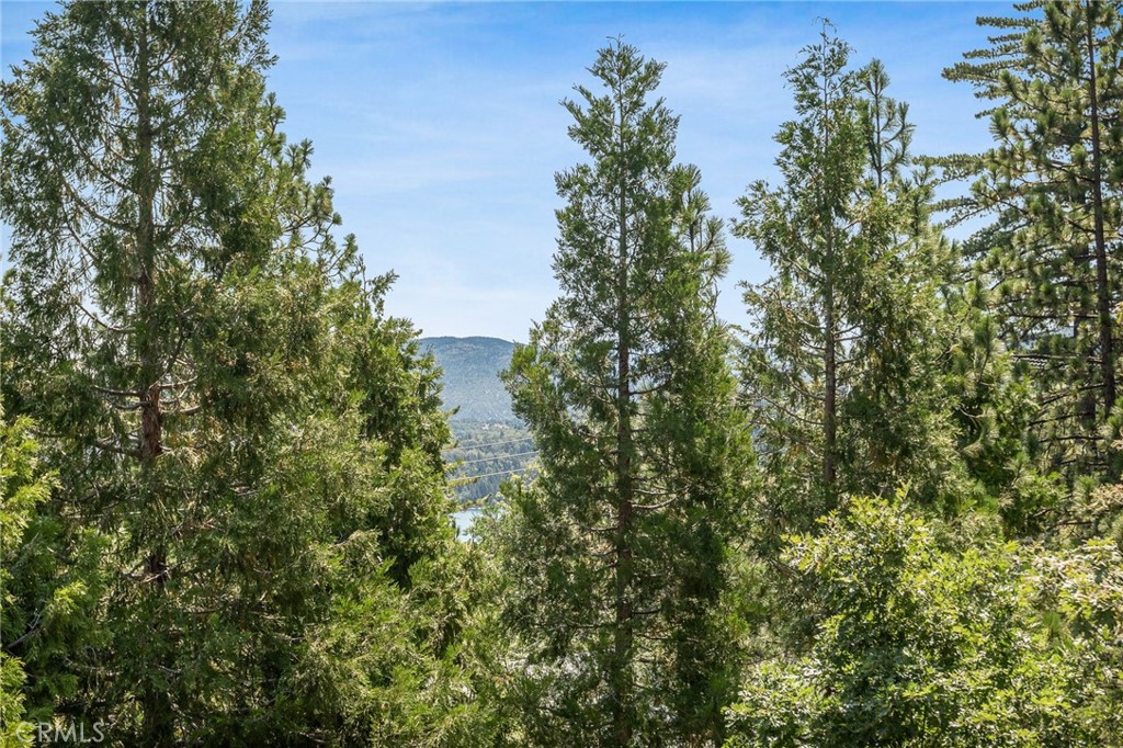 332 Grizzly Road Property Photo 22