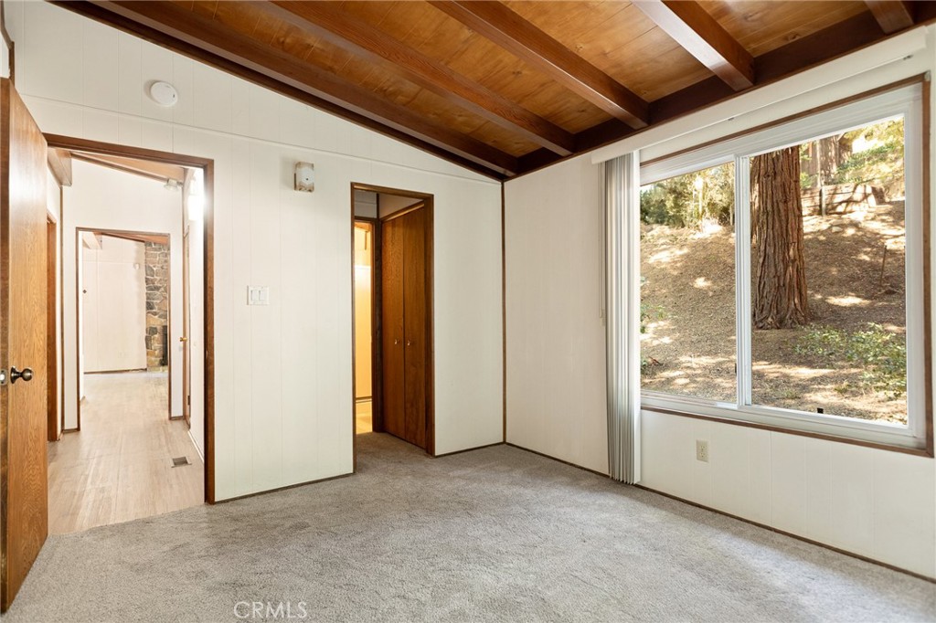 24243 Zell Court Property Photo 13