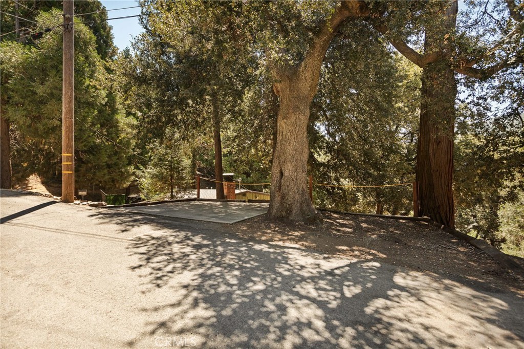 24243 Zell Court Property Photo 24