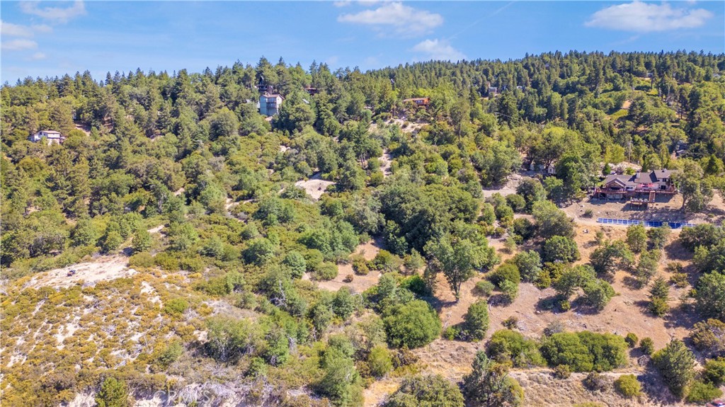 30757 Knoll View Drive Property Photo 59
