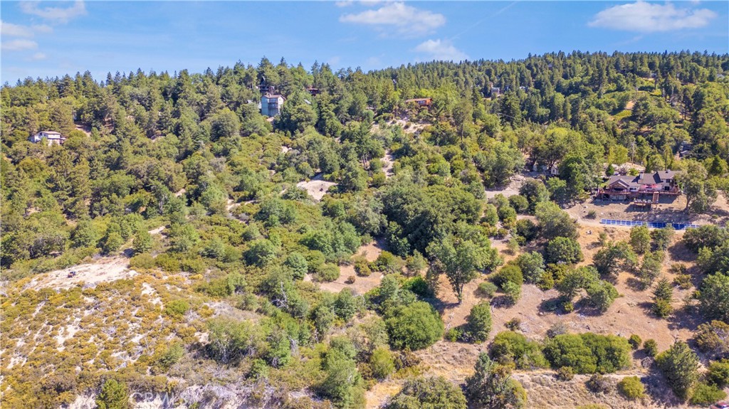 30757 Knoll View Drive Property Photo 59