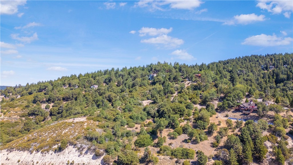 30757 Knoll View Drive Property Photo 61