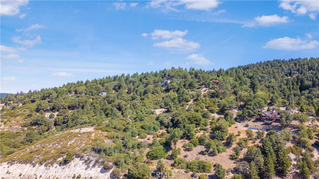 30757 Knoll View Drive Property Photo 61