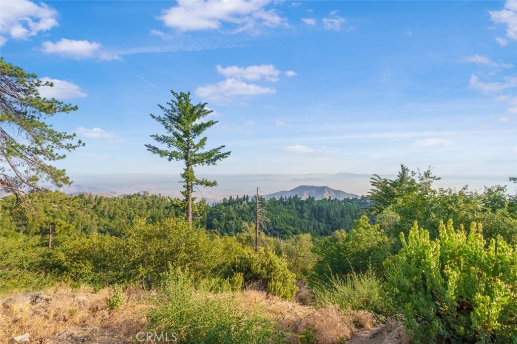 30757 Knoll View Drive Property Photo 62