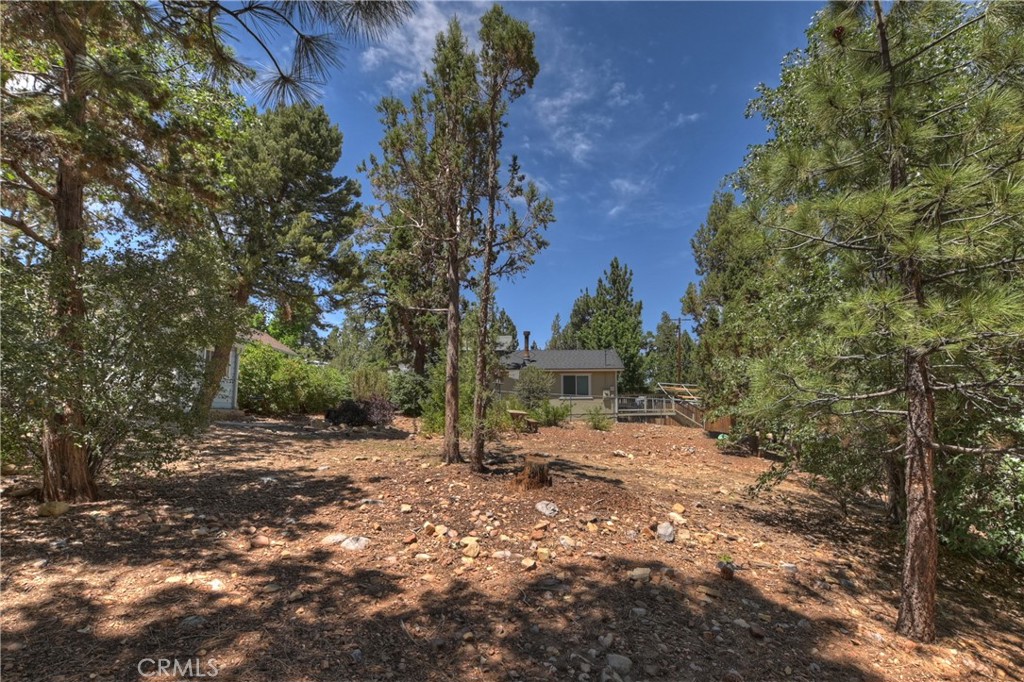 0 Spruce Property Photo