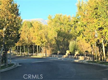 1473 Peters Canyon Property Photo 44