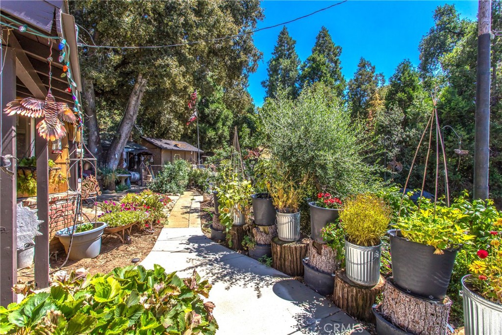 39065 Oak Glen Road Property Photo 14