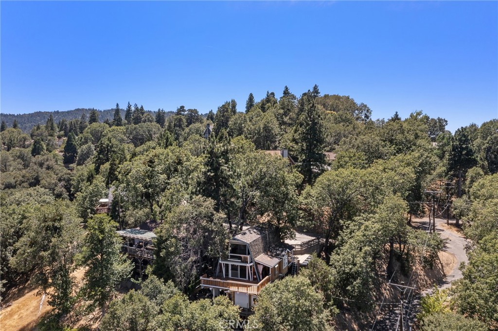 261 Davos Court Property Photo 49