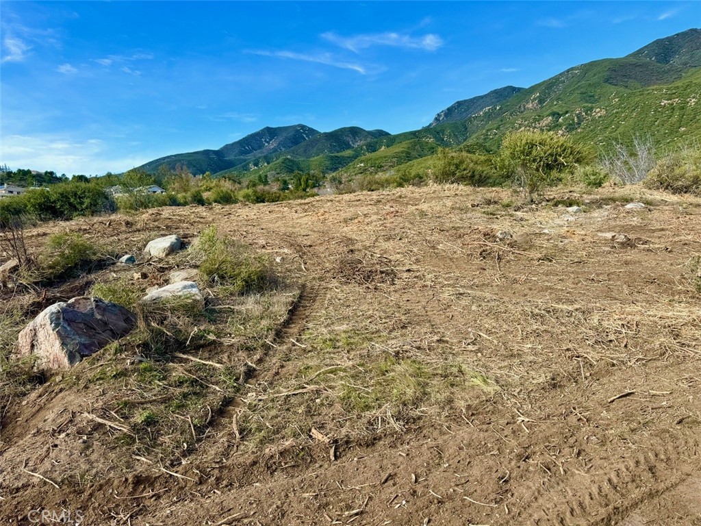18681 Deercrest Estates Place Property Photo 4