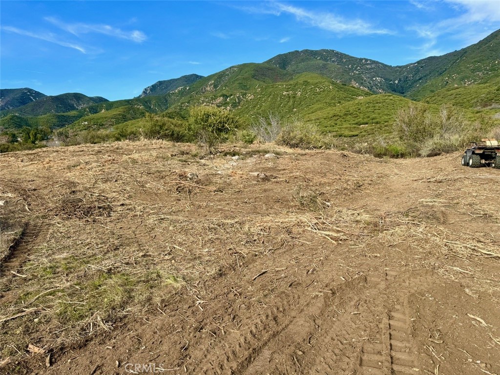 18681 Deercrest Estates Place Property Photo 6