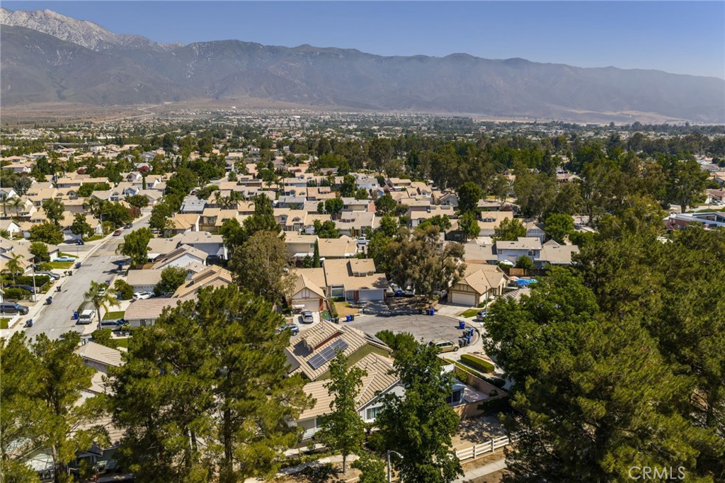 12325 Bellflower Court Property Photo 20