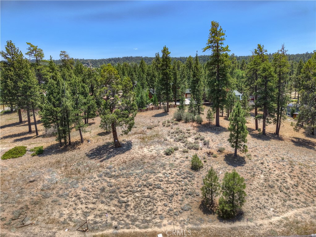 39799 Big Bear Boulevard Property Photo 9