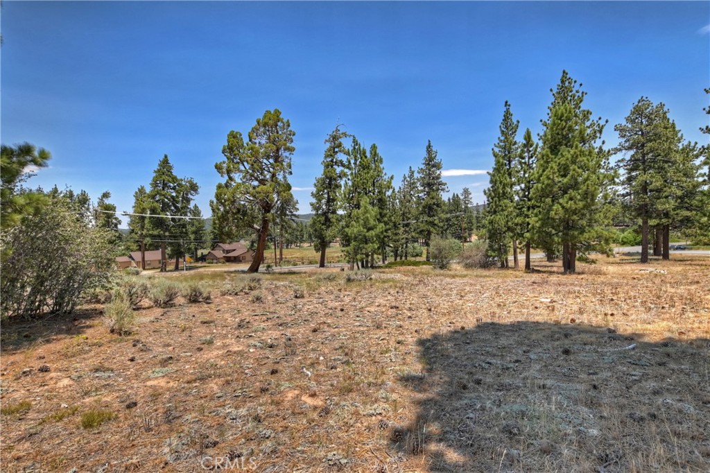 39799 Big Bear Boulevard Property Photo 11