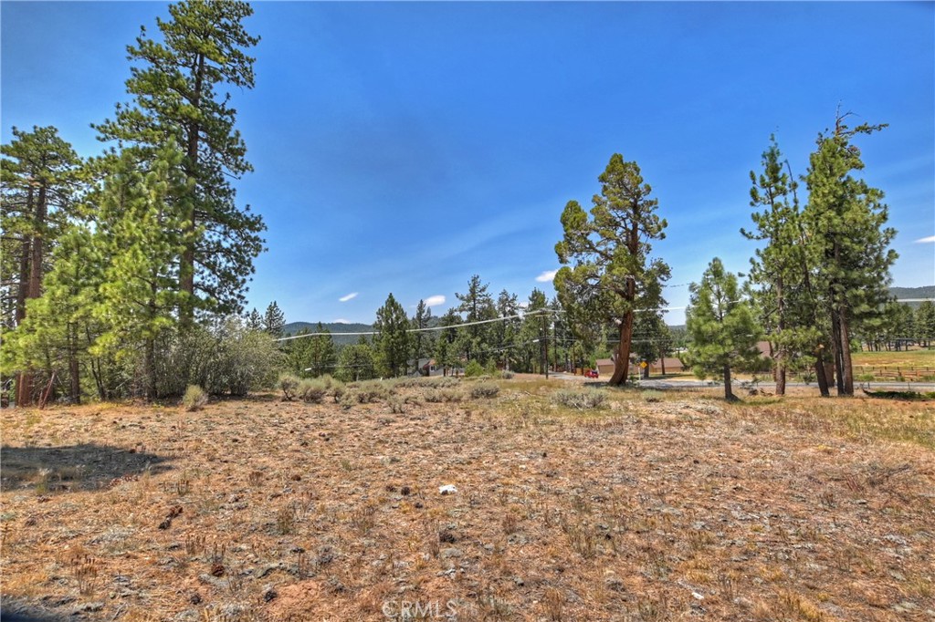 39799 Big Bear Boulevard Property Photo 12