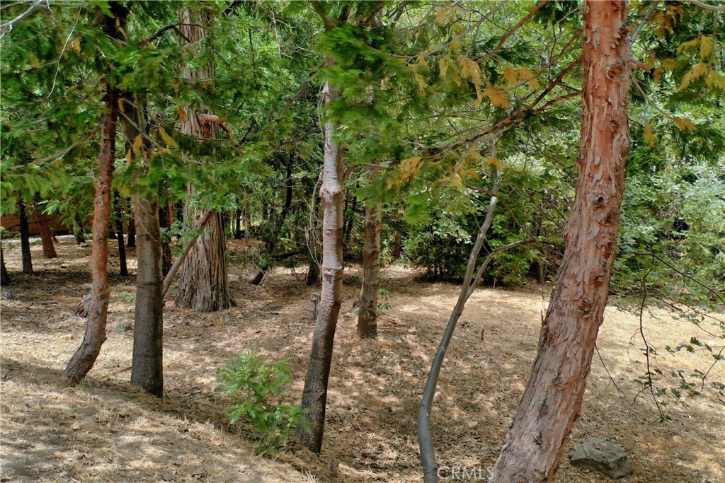 27513 Meadow Bay Drive Property Photo 1