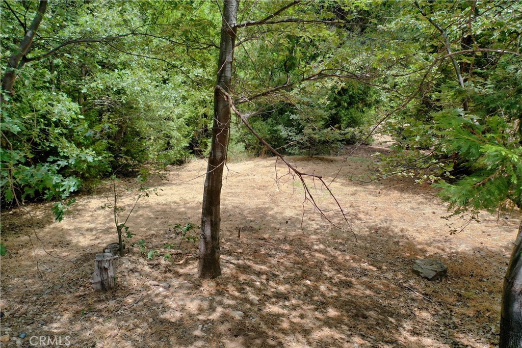 27513 Meadow Bay Drive Property Photo 3