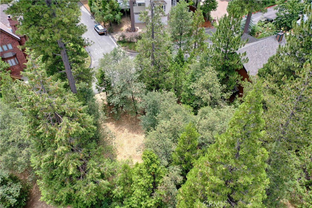27513 Meadow Bay Drive Property Photo 4