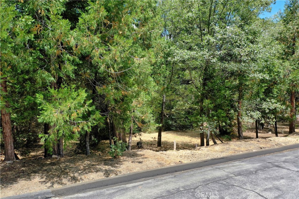 27513 Meadow Bay Drive Property Photo 12