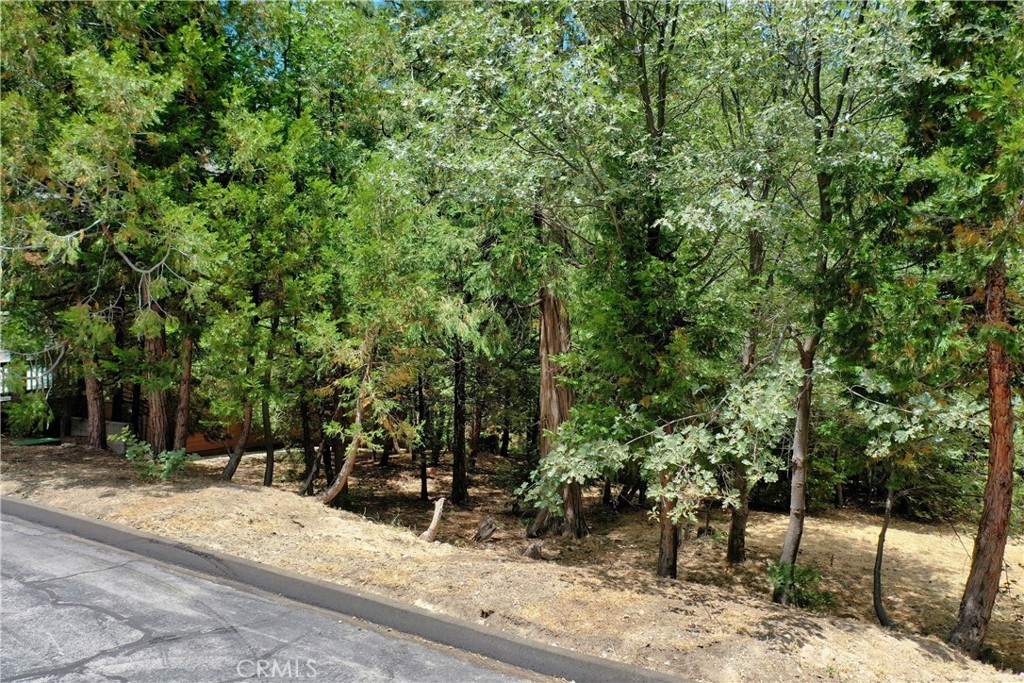 27513 Meadow Bay Drive Property Photo 13