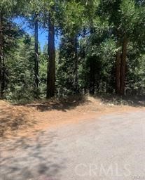 0 State Hwy 189 Property Photo 1