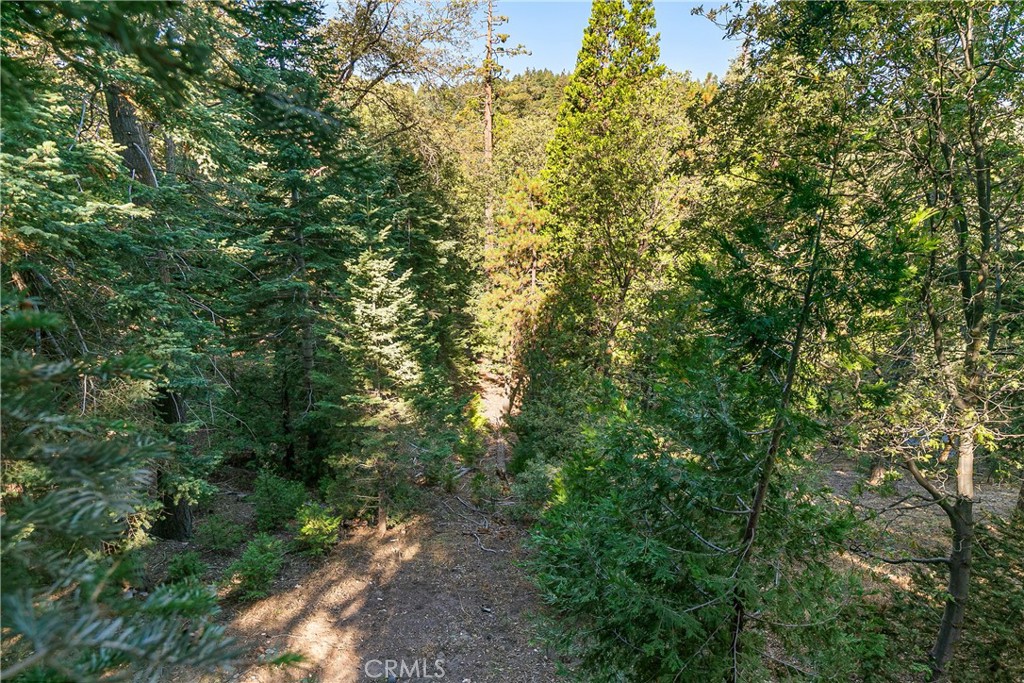 628 Rose Lane Property Photo 14