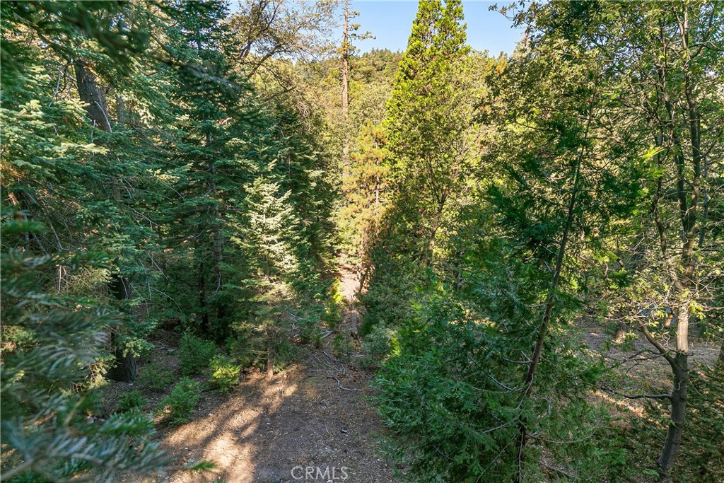 628 Rose Lane Property Photo 14