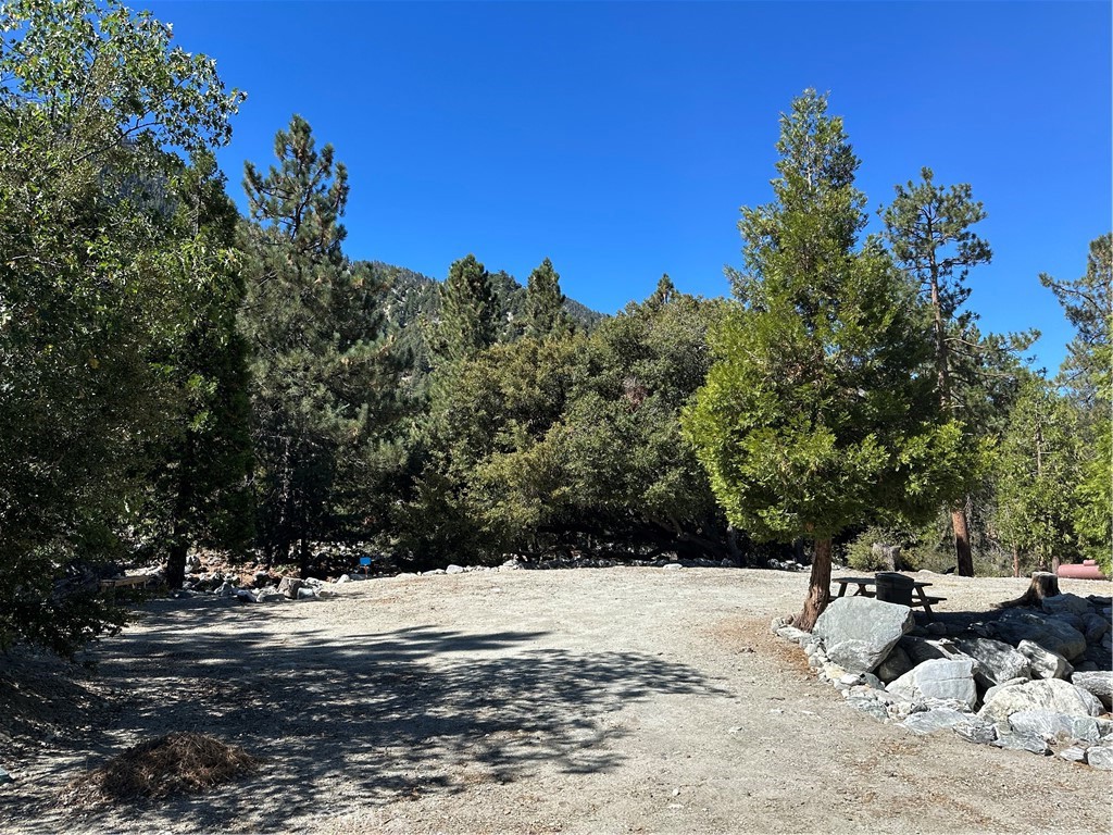 41385 Alder Drive Property Photo 3
