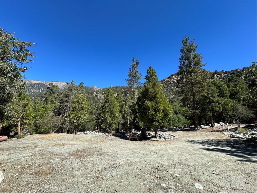 41385 Alder Drive Property Photo 4