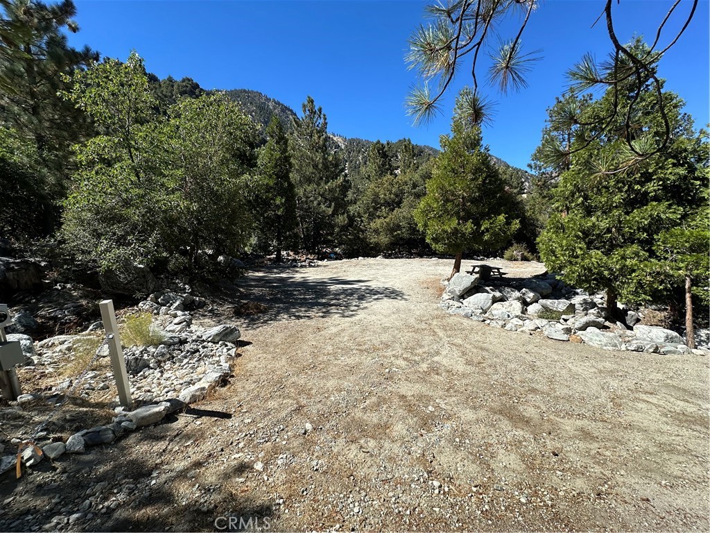41385 Alder Drive Property Photo 5