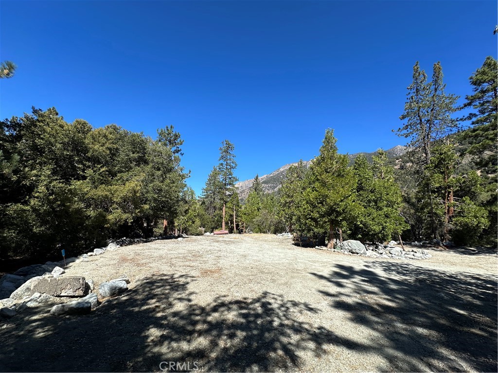 41385 Alder Drive Property Photo 6