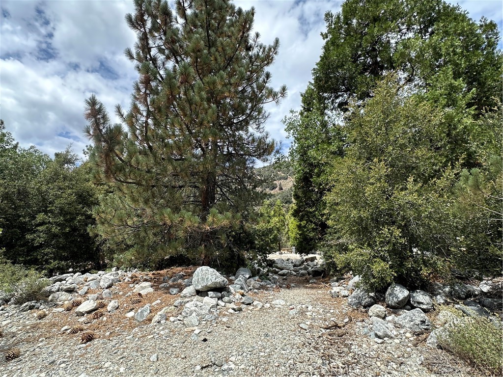41385 Alder Drive Property Photo 7
